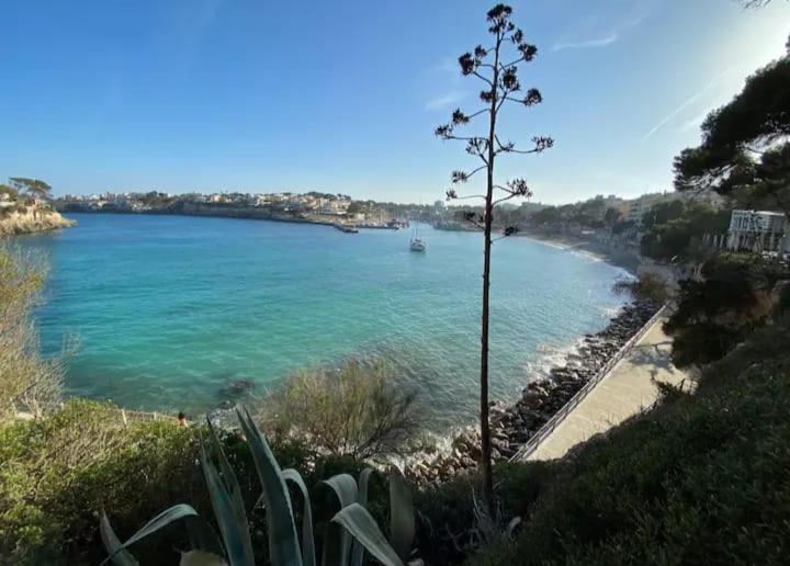 Houpla Porto Cristo